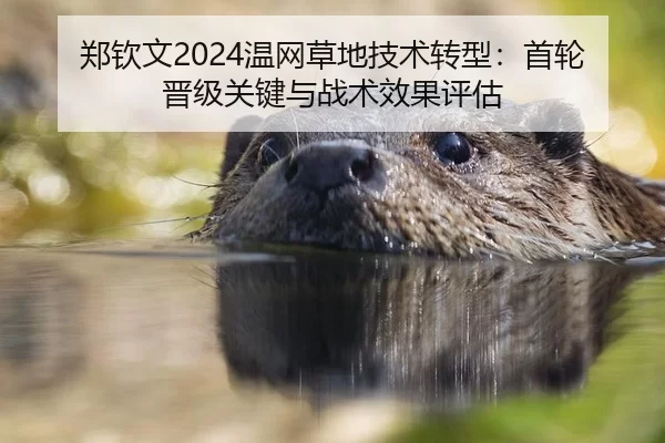 郑钦文2024温网草地技术转型：首轮晋级关键与战术效果评估